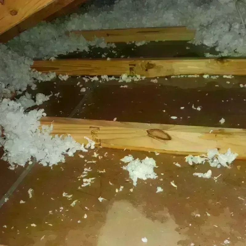 Attic Water Damage in Oak Grove, SC